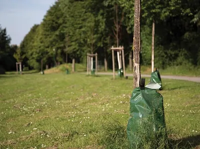 Image de Sac D'arrosage Pour Arbres - 75 L - 420 G/m².