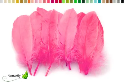 Produktbild von 10 Gänsefedern 15-20cm, Farbauswahl:pink 156
