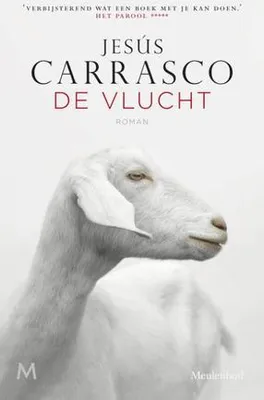 Image de Le vol