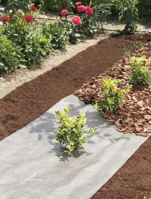 Image de Nappe de jardinage 1 x 10 TERRATEX