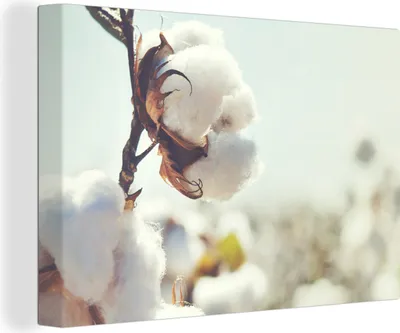 Produktbild von OneMillionCanvasses® - Leinwandbilder - 140x90 cm, Pflanzen - Blume - Zweig - Natur, Wandbilder Kunstdruck Wanddekoration - Foto auf Leinwand - Gemälde auf Holzrahmen