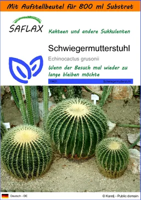 Produktbild von SAFLAX - Garden in the Bag - Kakteen - Schwiegermutterstuhl - 40 Samen - Mit Anzuchtsubstrat im praktischen, selbst aufstellenden Beutel - Echinocactus grusonii