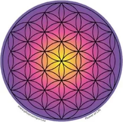 Immagine prodotto di Vetrofania Fiore Della Vita - 11,7 Cm Confezione Da 3 Pz