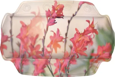 Produktbild von Kleine Wolke Nackenpolster KOLIBRI Multicolor 32 x 22 cm