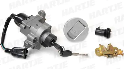 Produktbild von Komplettes Elektroschloss-Set für elektronische Türsicherung und Zutrittskontrolle