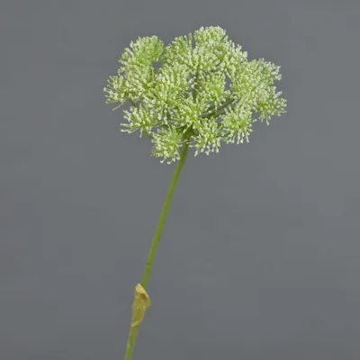 Produktbild von artplants.de Künstliche Blume Bärenklau EVERALDO, weiß, 80cm - Deko Heracleum Blume
