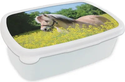 Produktbild von KitchenYeah® Lunchbox Brotzeit Brotdose 17x11 cm Pferd - Blumen - Gelb Kinder Brotzeitdose - Lunch Box - Kinder - Sandwich-Box - Schulbox - Lunch Boxen