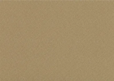 Produktbild von HEYDA 204772297 Prägekarton Milano 50 x 70 cm braun natur