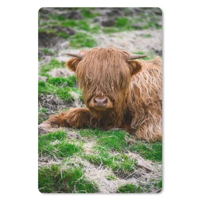 Produktbild von MuchoWow® Mauspad Mousepad Schottischer Highlander - Heu - Gras 18x27 cm - Mousepads - Maus Mat - Pad - Mausunterlage