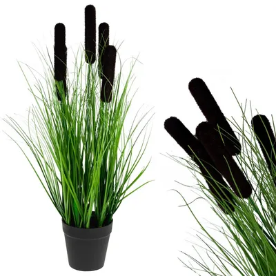 Produktbild von Künstlicher Rohrkolben im Topf