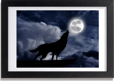 Produktbild von Bild 30x20 MDF-Rahmen, Wandkunst Howling Wolf Voll