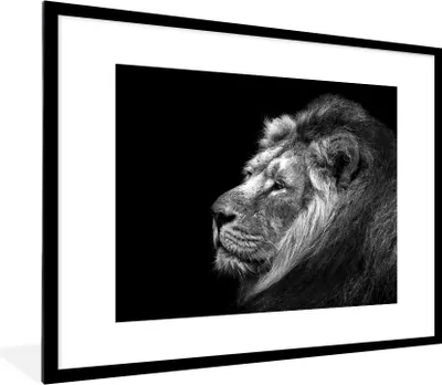Produktbild von MuchoWow® MuchoWow® Gerahmtes Poster Löwe vor schwarzem Hintergrund in schwarz und weiß 80x60 cm - Poster mit zchwarzem Bilderrahmen - Schlafzimmer-Dekorationen - Fotoposter