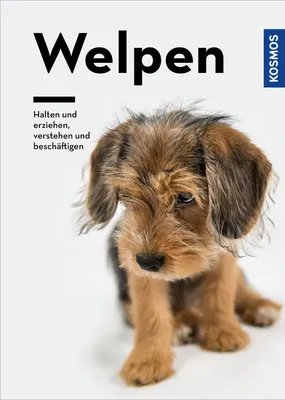 Produktbild von Welpen