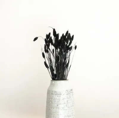 Imagen del producto de fácil cuidado decorativa 0.6m (Länge) interior oficina set Sonstige planta verde