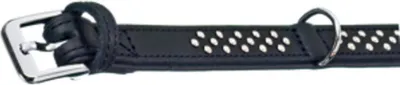 Produktbild von Flamingo Atlanta Halsband schwarz mit Nieten, Maße: 41-50 cm / 35 mm
