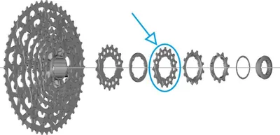 Immagine prodotto di Pignone Shimano CS-LG700, denti: 15 denti