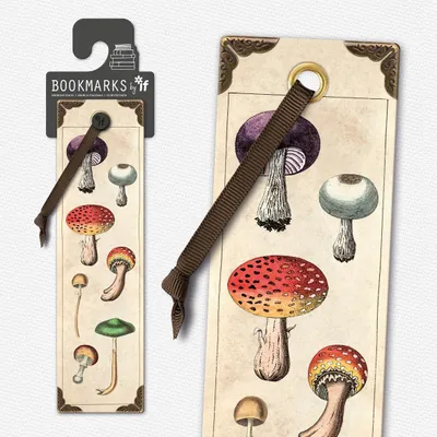 Image de Marque-page vintage - Champignons