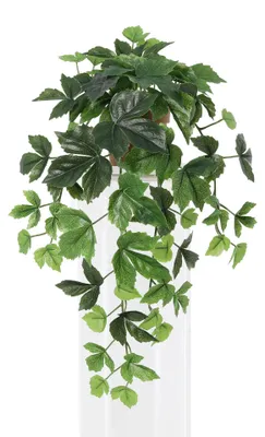 Image de Lierre artificiel retombant, 48 cm - Plante suspendue artificielle pour salon ou bureau