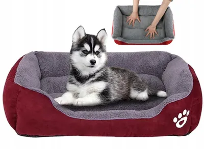 A husky puppy lies in a burgundy and gray dog bed. A smaller inset image shows hands pressing into a similar dog bed.