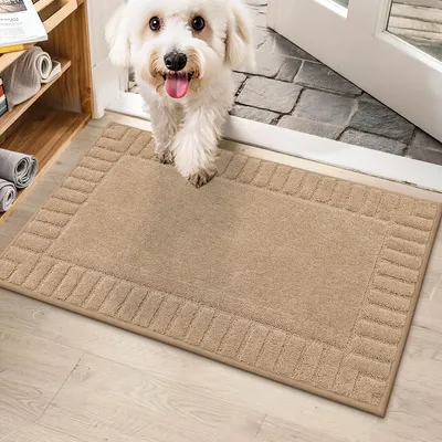 Produktbild von Rutschfeste Fußmatte für Innen und Außen 50 x 80 cm Beige
