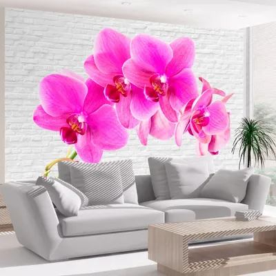 Produktbild von Basera Fototapete Orchideenmotiv 10110906-101, Vliestapete, 400x280 cm
