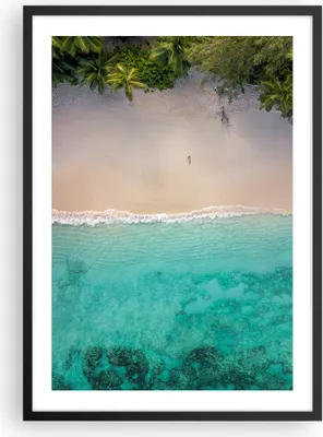 Produktbild von Gerahmtes Poster - Schwarzer Rahmen - Strand Tropen Rand - 50x70 cm - Wand Bild - Wanddeko - Wandbilder - Kunstposter - Wandposter - Bilderrahmen - Bilder - Kunstdruck - P2BPA50x70-5000