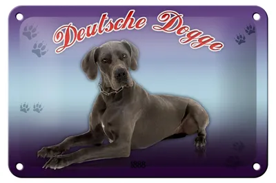 Produktbild von Blechschild Hund 18x12cm Deutsche Dogge 1888