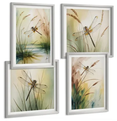 Produktbild von Bilder Set 4-teilig im silbergerahmten Rahmen – Wandbilder 4 Stück – gerahmte Poster für Wohnzimmer, Schlafzimmer und Flur – 50x50 cm - 40x60 cm – Libellen im Gras, Wassermalerei