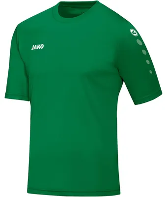 Image de Trikot Team KA JAKO