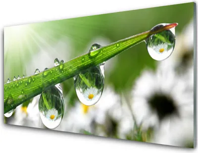 Produktbild von Acrylglasbilder 100x50 Wandbild Druck Gras Tautropfen Natur