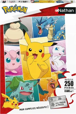 Image de POKEMON - Puzzle 250 pièces - Types de Pokémon - Nathan