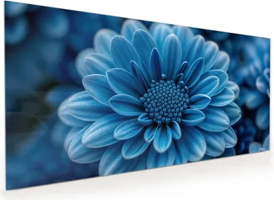 Produktbild von Küchenrückwand Spritzschutz Glas mit Motiv Blaue Blume 40 x 40 cm