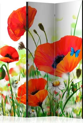 Produktbild von 3-teiliger Einseitiger Vlies Paravent - Country poppies 135x172 cm Blumen b-C-0438-z-b