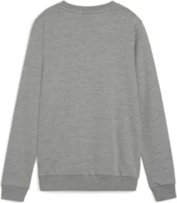 Produktbild von Puma teamGOAL Casuals Crew Neck Sweat Wmn - grau, Größe:XXL