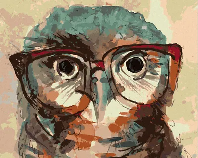 Produktbild von Zuty - Malen nach Zahlen - EULE MIT BRILLE, 40x50 cm, mit Keilrahmen (bereits gespannt)