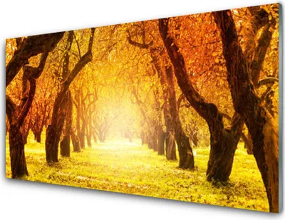 Produktbild von Acrylglasbilder 100x50 Wandbild Druck Wald Fußpfad Natur