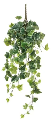 Produktbild von Kunstpflanze Mica Efeu H 71 cm bunt