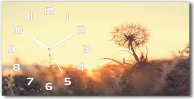 Produktbild von Wanduhr aus Glas – 60x30 cm - Glasbild - Glasuhr - Gehärtetes Glas - weisse-zeiger - Löwenzahn