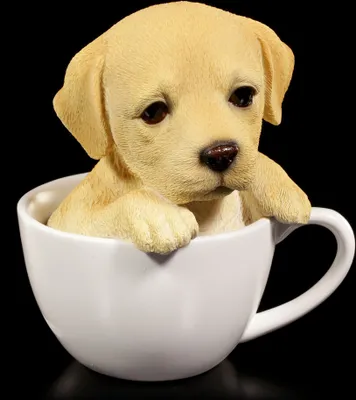 Produktbild von Hunde Figur - Labrador Welpe in Tasse / Süßes Geschenk