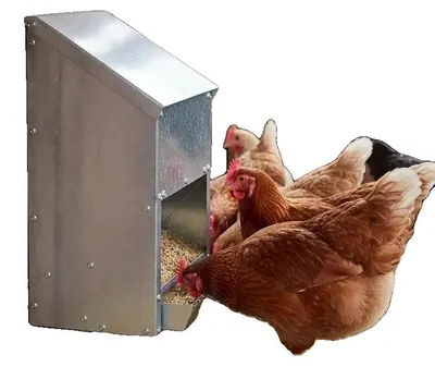 Productafbeelding van Voerbak voor kippen, verzinkt staal, capaciteit van 3 kg voer, legergroen