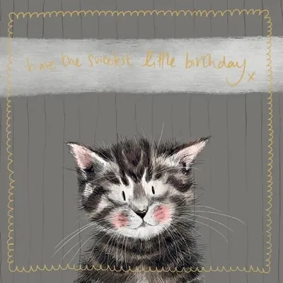 Immagine prodotto di Abbonamento "Compleanno del gattino" - Alex Clark