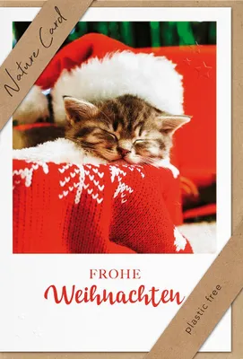 Produktbild von BSB 22-6901-2 Weihnachtskarte - Nature Card, inkl. Umschlag