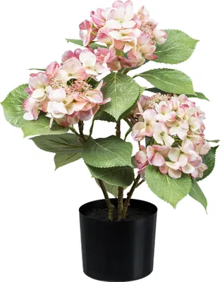 Produktbild von Hochwertiger rosacreme Hortensienbusch 53 cm in Kunststofftopf – Pflegeleichte Kunstpflanze