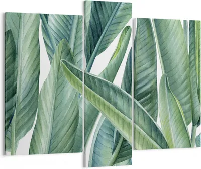 Produktbild von Bild auf Leinwand - Leinwandbild - 3 Teile - Exotisch Blätter Grün - 95x80cm - Wand Bild - Wanddeko - Wandbilder - Leinwanddruck - Bilder - Wanddekoration - Leinwand bilder - Wandbild - CB95x80-4258
