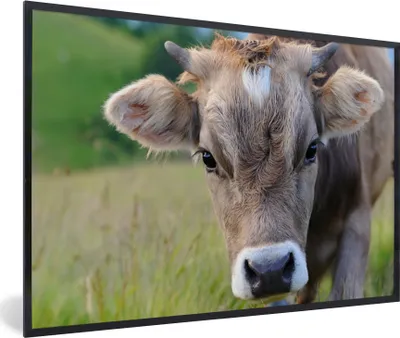 Produktbild von MuchoWow® MuchoWow® Gerahmtes Poster Kuh - Horn - Landschaft 90x60 cm - Poster mit zchwarzem Bilderrahmen - Fotorahmen - Foto-Plakat