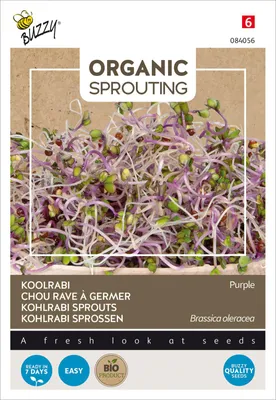 Artikelbild 2 von 'Keimsprossen Kohlrabi blaue' aus der Kategorie Keimsprossen