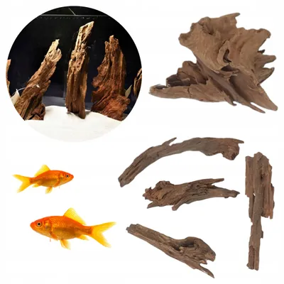 Zdjęcie produktu dla Dekoracja akwariowa – korzeń, Mangrove Nano, 5 sztuk, 5–15 cm