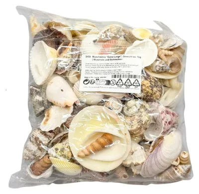 Produktbild von Muschelmix Extra Large 1 kg große Muscheln Schneckenhäuser Deko maritim Basteln