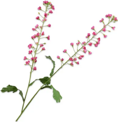 Produktbild von Silk-ka Kunstblume - Seidenblume Primelzweig rosa 85 cm