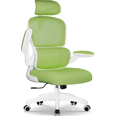 A studio shot of a green and white ergonomic office chair.